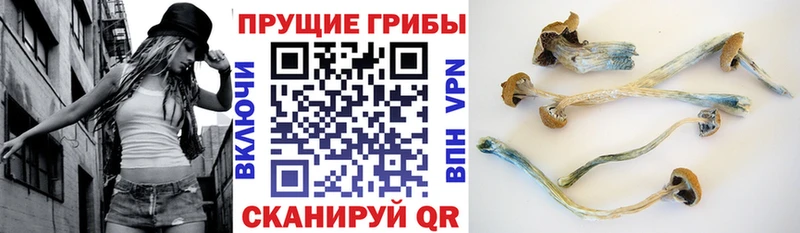 Псилоцибиновые грибы мухоморы  blacksprut ONION  Чехов 